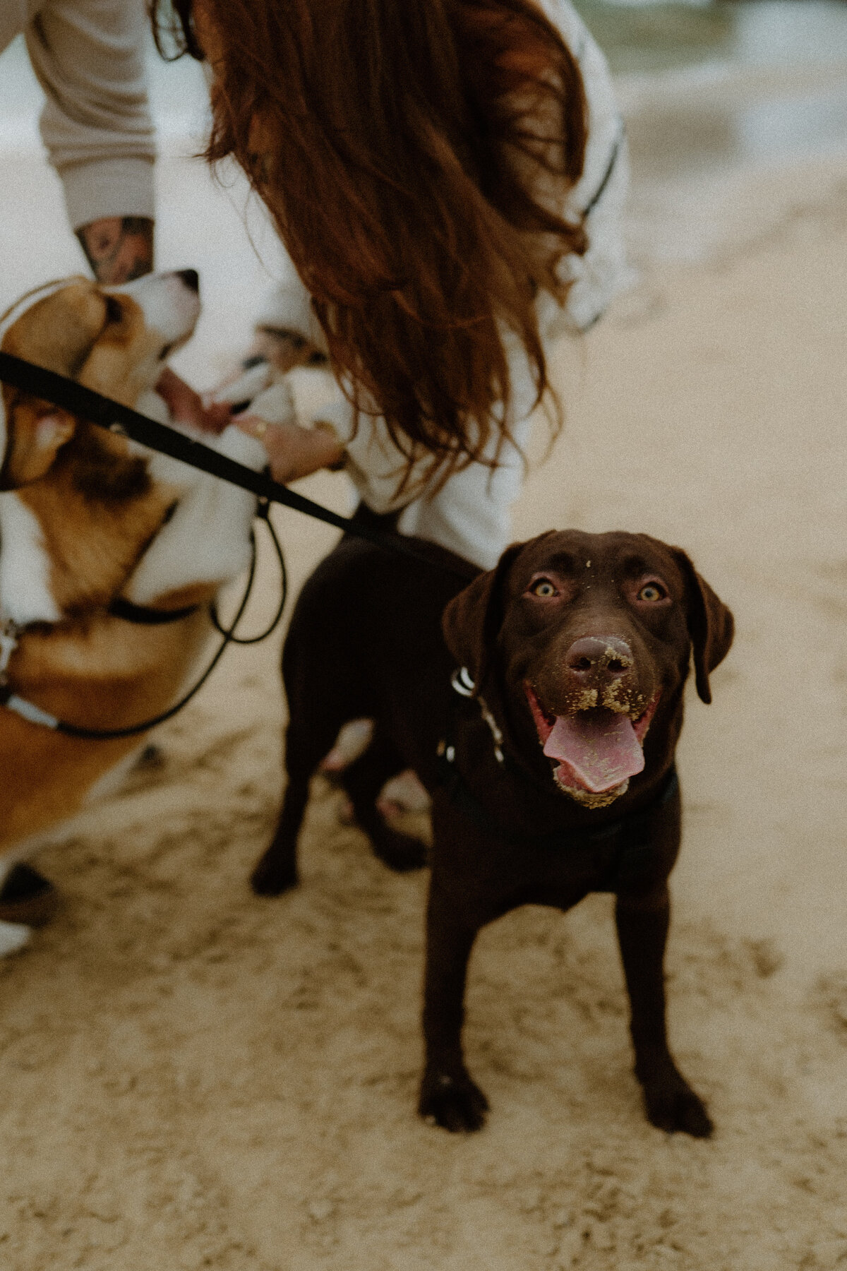 emma+josh_DominiqueMacPhoto2