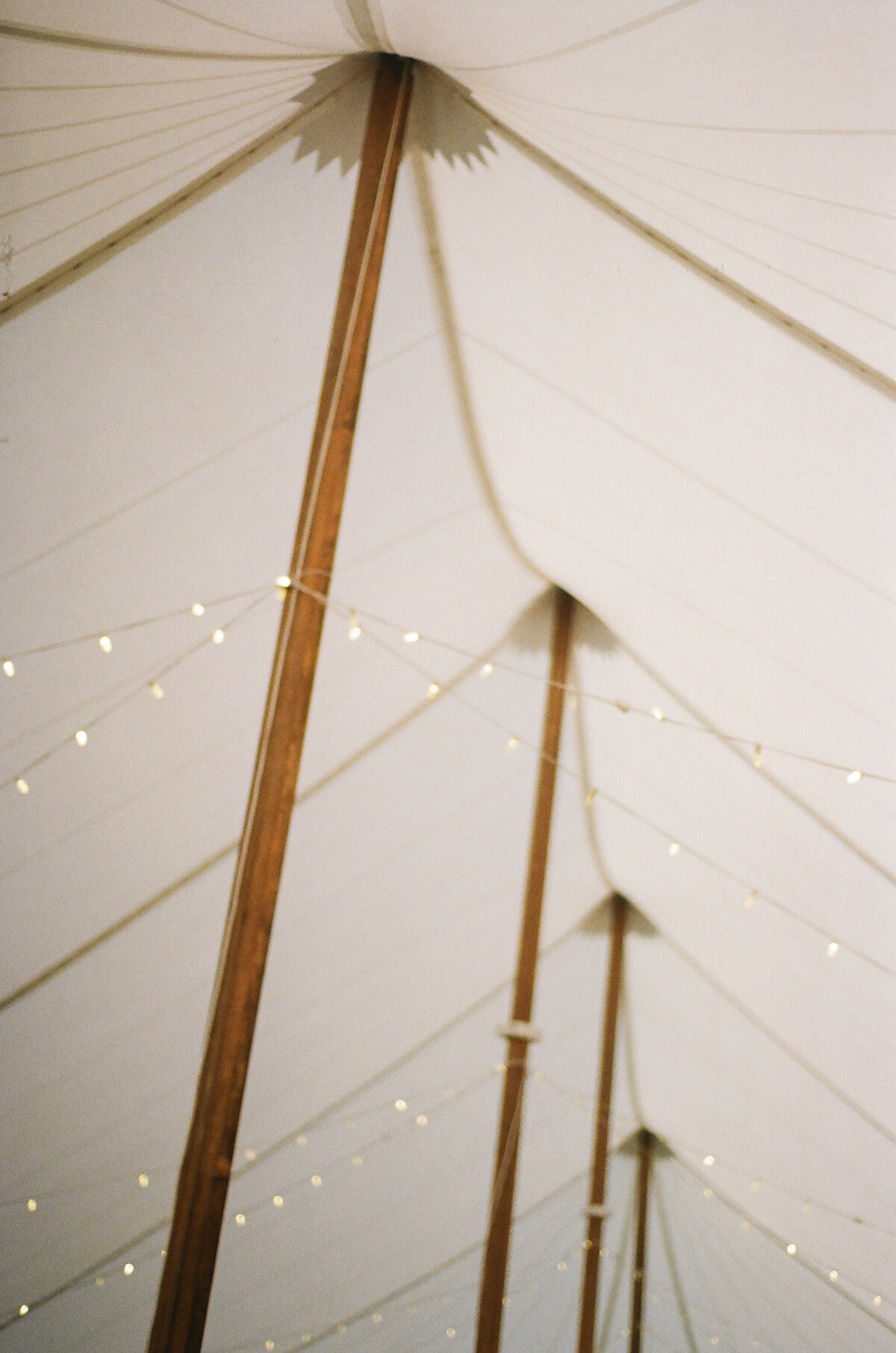 M.EilertPhotography-MadisonandCameronFilm-2