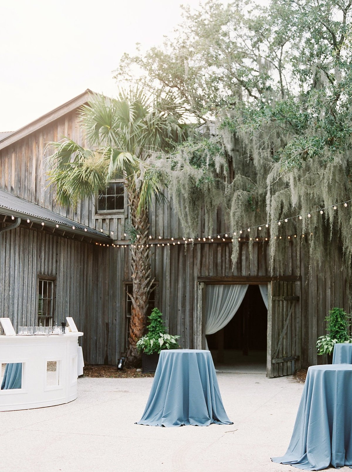 cotton dock reception