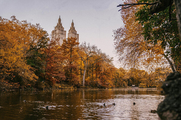 1. A scenic view of Central Park in New York City, showcasing lush greenery and city skyline in the background.