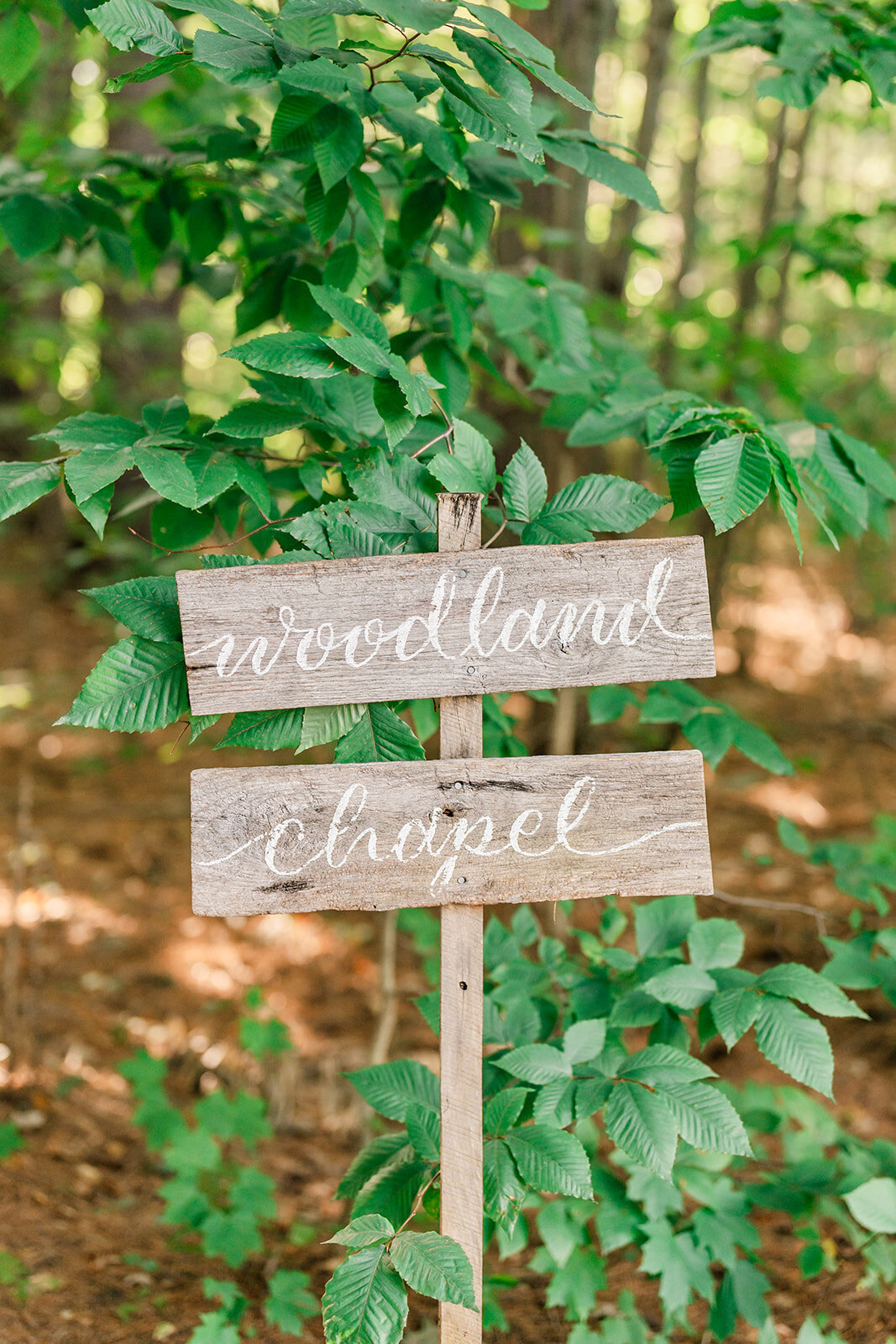 Maine-wedding-photographer-Jenna-Richmond73
