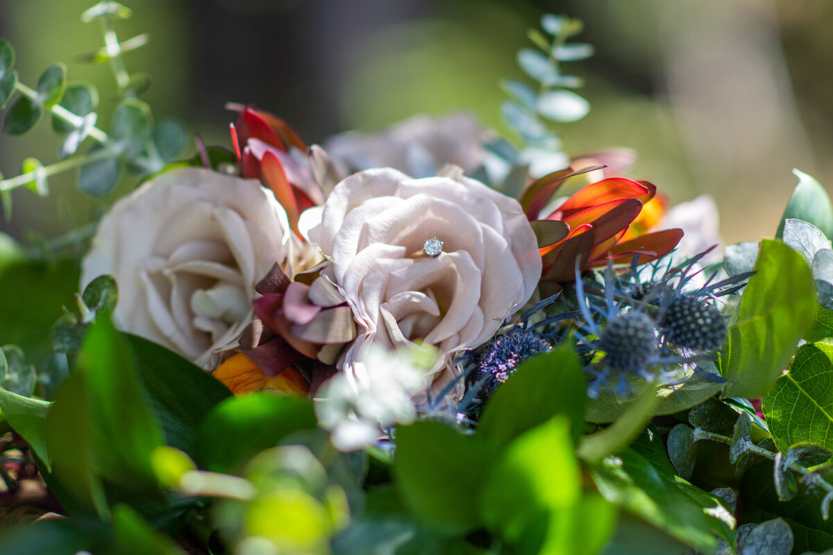 Humboldt-County-Wedding-Photographer-Garbervile-Nor-Cal-Wedding-Photographer-Parky's-Pics-Coastal-Redwoods-Elopements-1