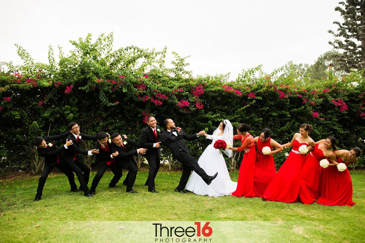 Bridal party tries to pull Bride and Groom apart