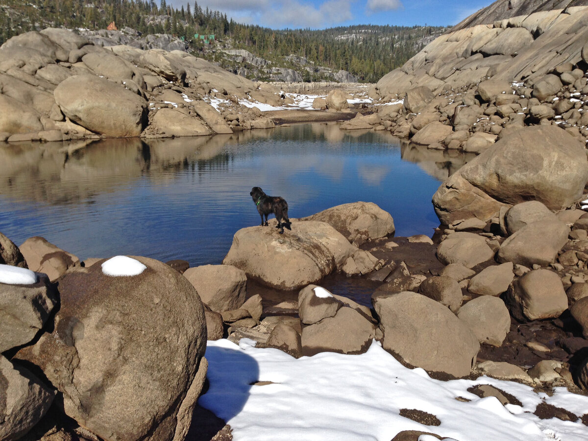 Kodi at Bear River Resevoir