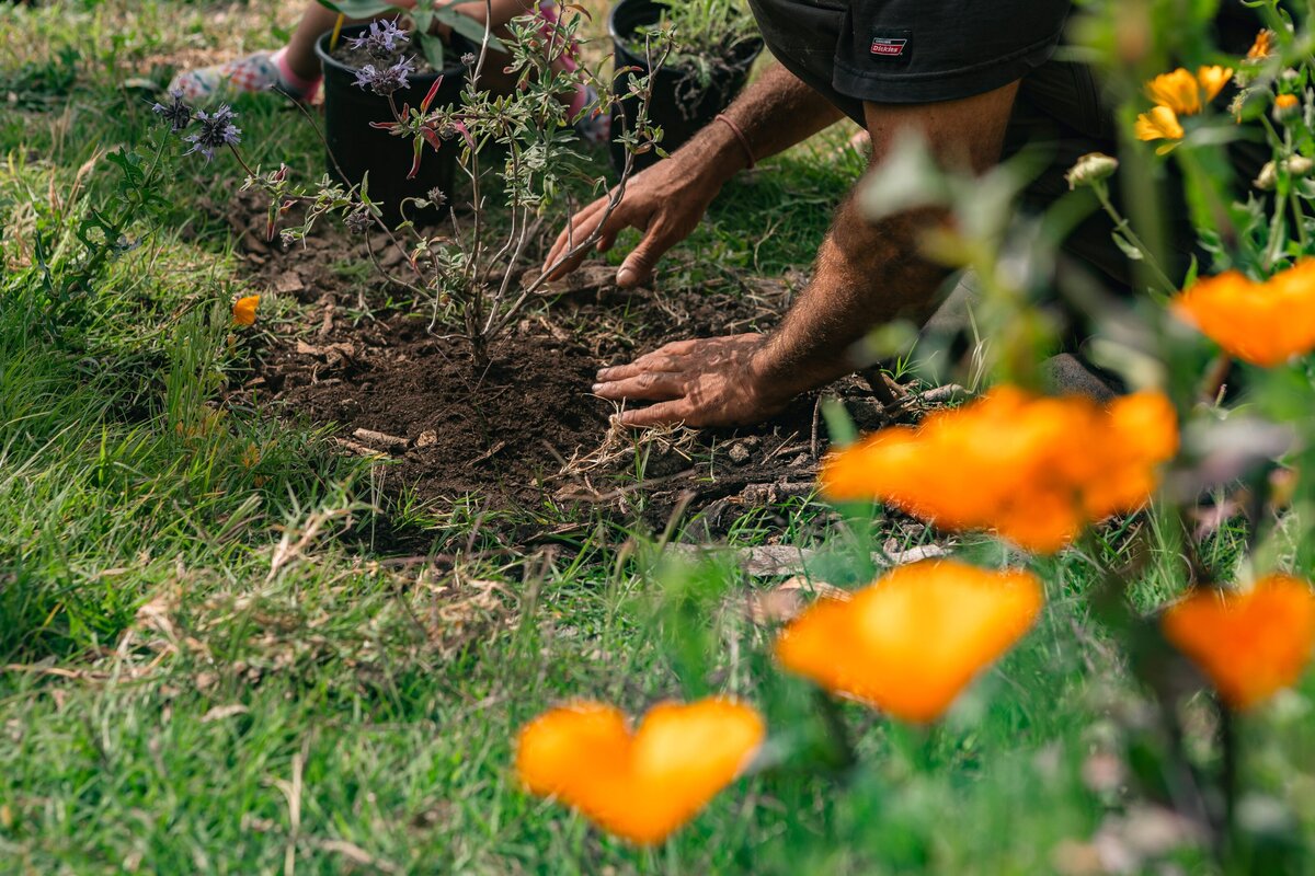 The-Ripe-Org-Farm-Ventura-California-Santa-Paula-Non-Profit-0037