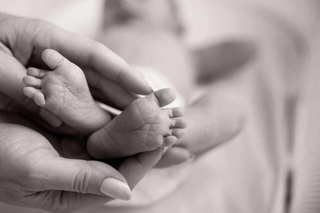 San Francisco Family Photographer Alyx Jones103