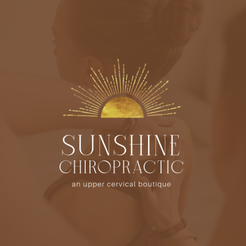 Custom Chiropractic Logo Designs - HP