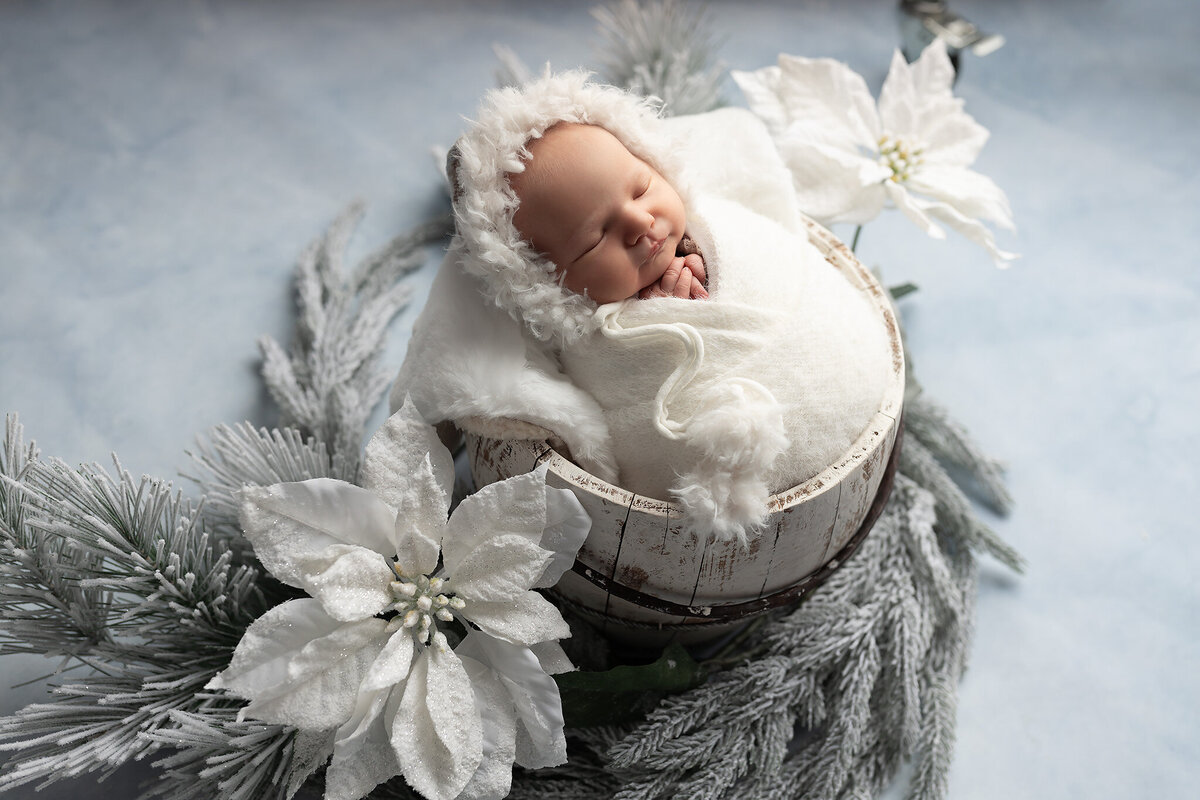 Baby peacefully sleeping in a frosted white winter basket surrounded by snow-covered greenery, captured by a baby photographer in Dallas.