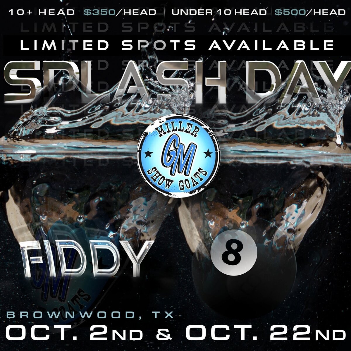 MSG_graphicBundle-SPLASHSPLASH DAY