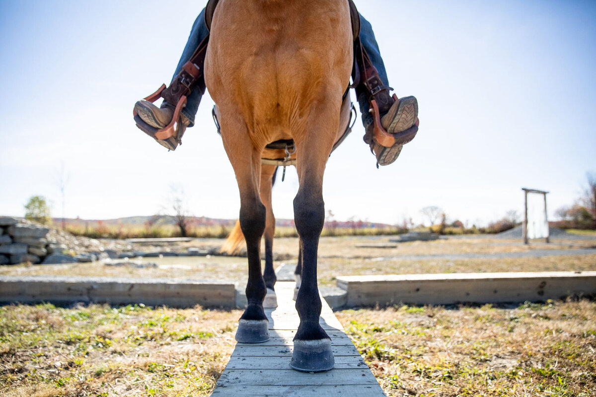 branding-photographer-saratoga-springs-ny-106