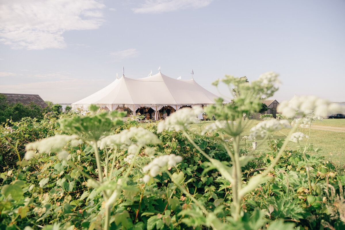 Polpis-Wedding-Ducksholm-Nantucket-079