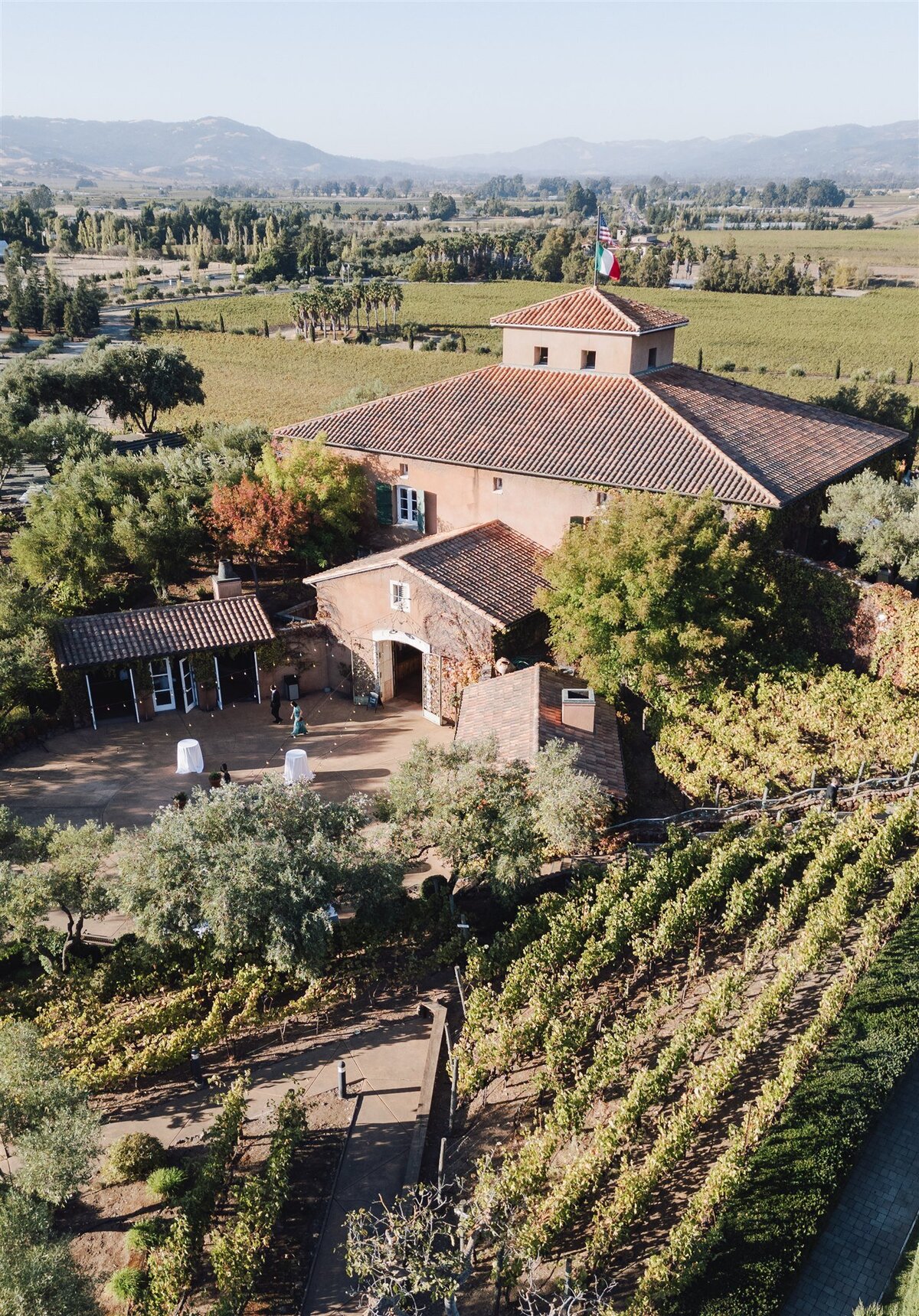 viansa-sonoma-wedding-annie-ben-ashley-carlascio-photography-0486