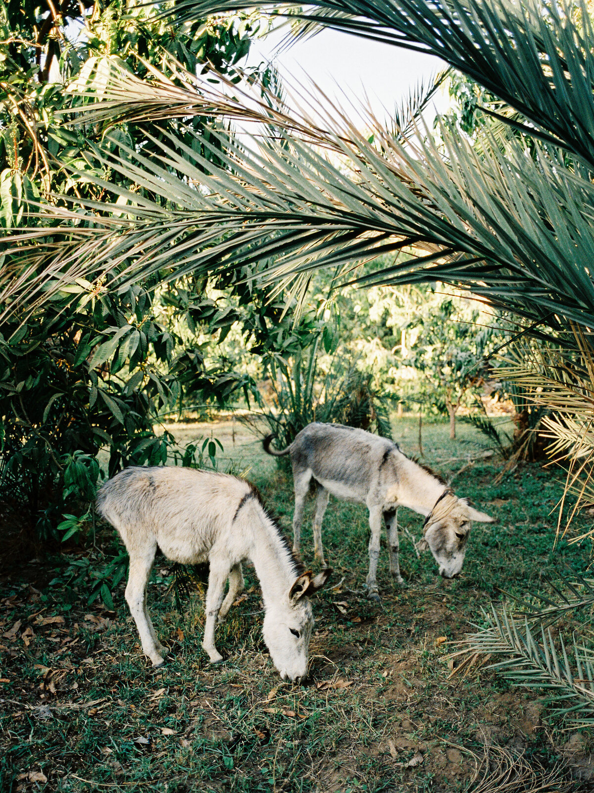 egypt-travel-057