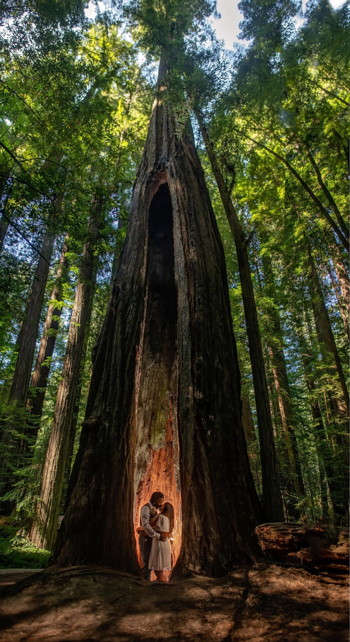 Humboldt-County-Engagement-Photographer-Redwoods-Humboldt-REdwoods-Humboldt-Nor-Cal-Parky's-Pics-Coastal-Redwoods-Elopements-6