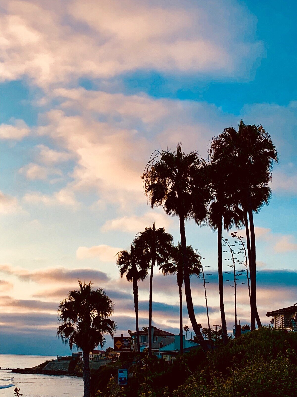 lajolla