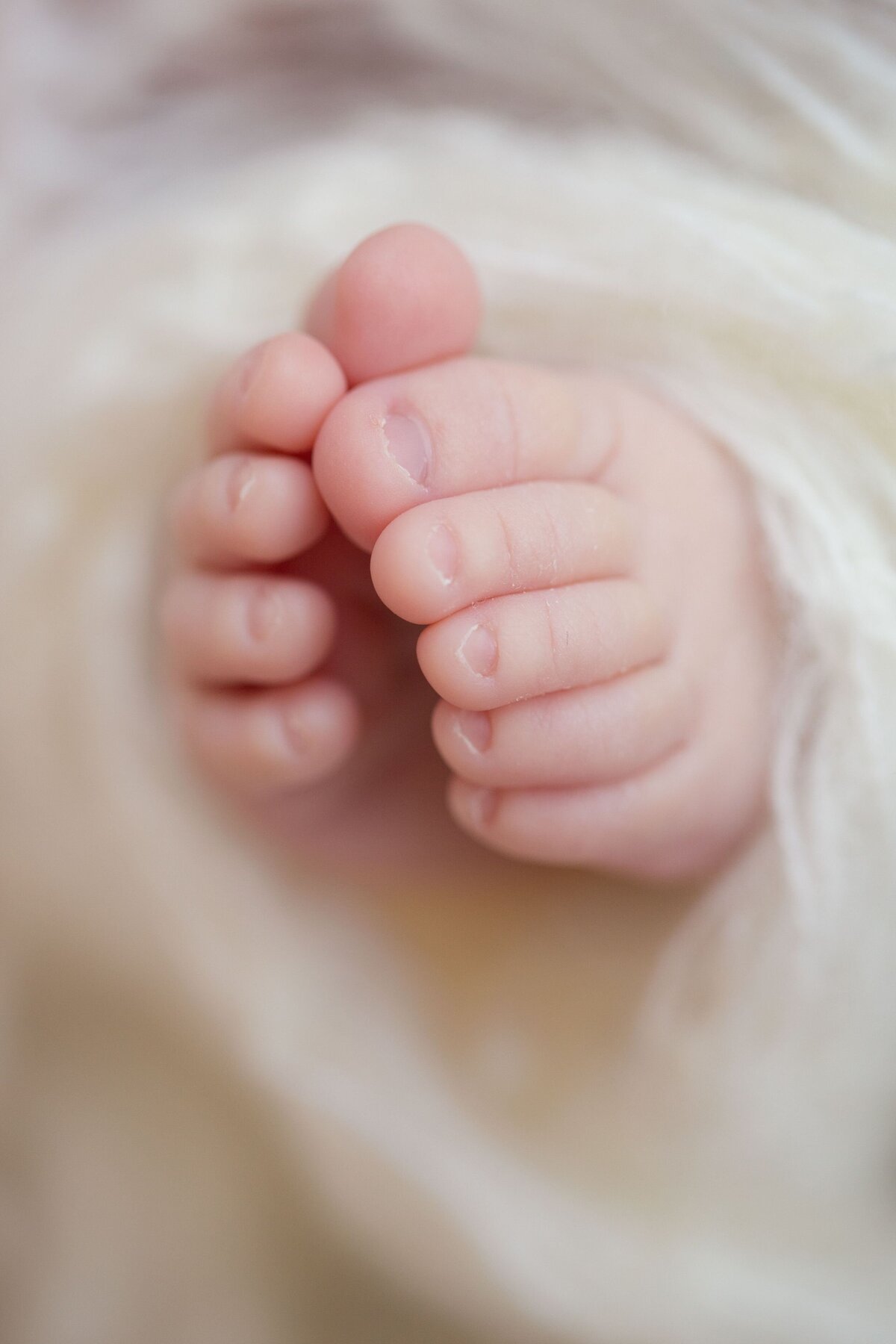 brendaolie- newbornfotografie.380