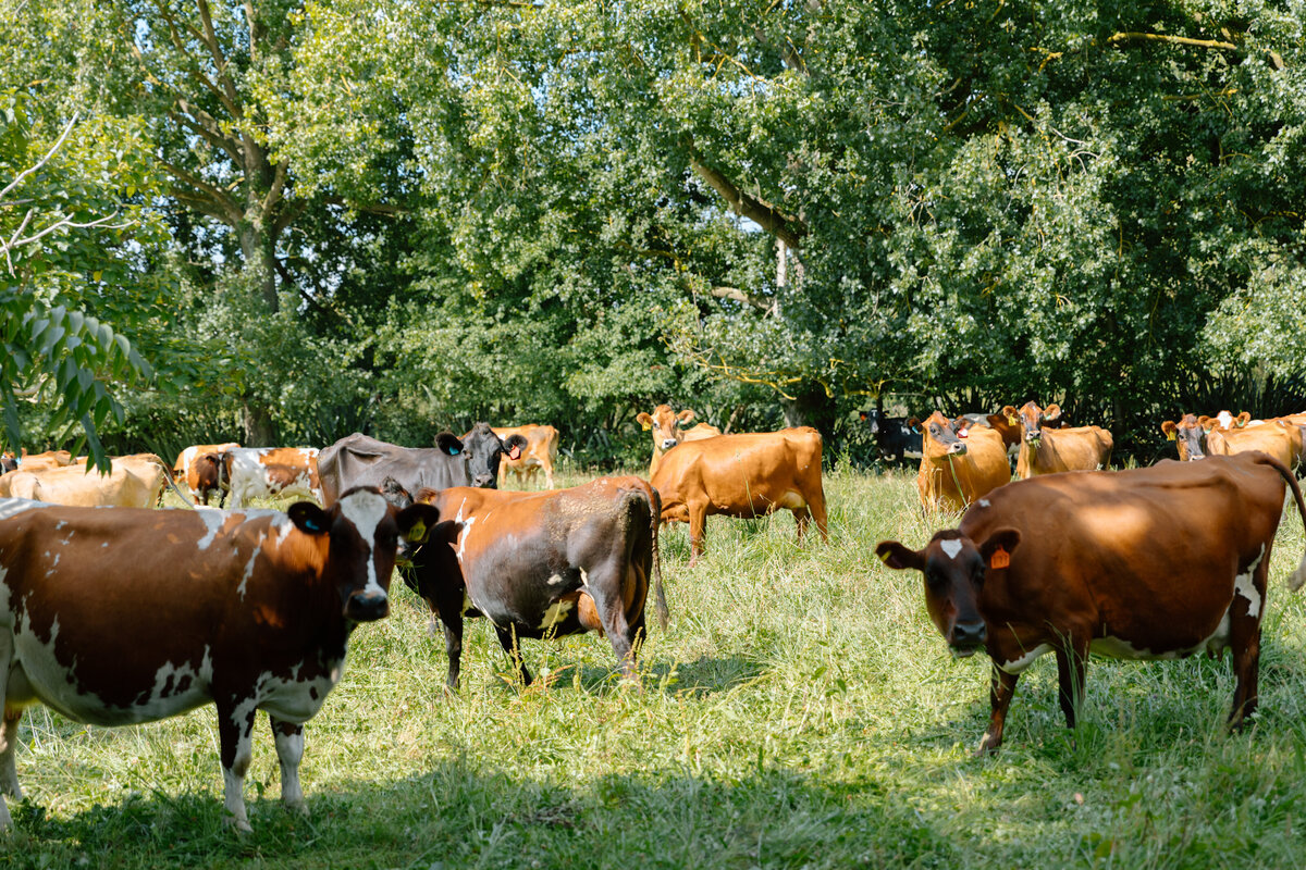 Rere_workeshop3-4-02.25-7285