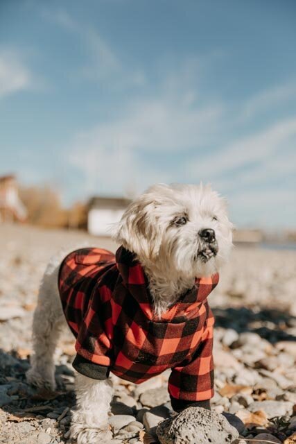 Cherry Beach Mini sessions-143