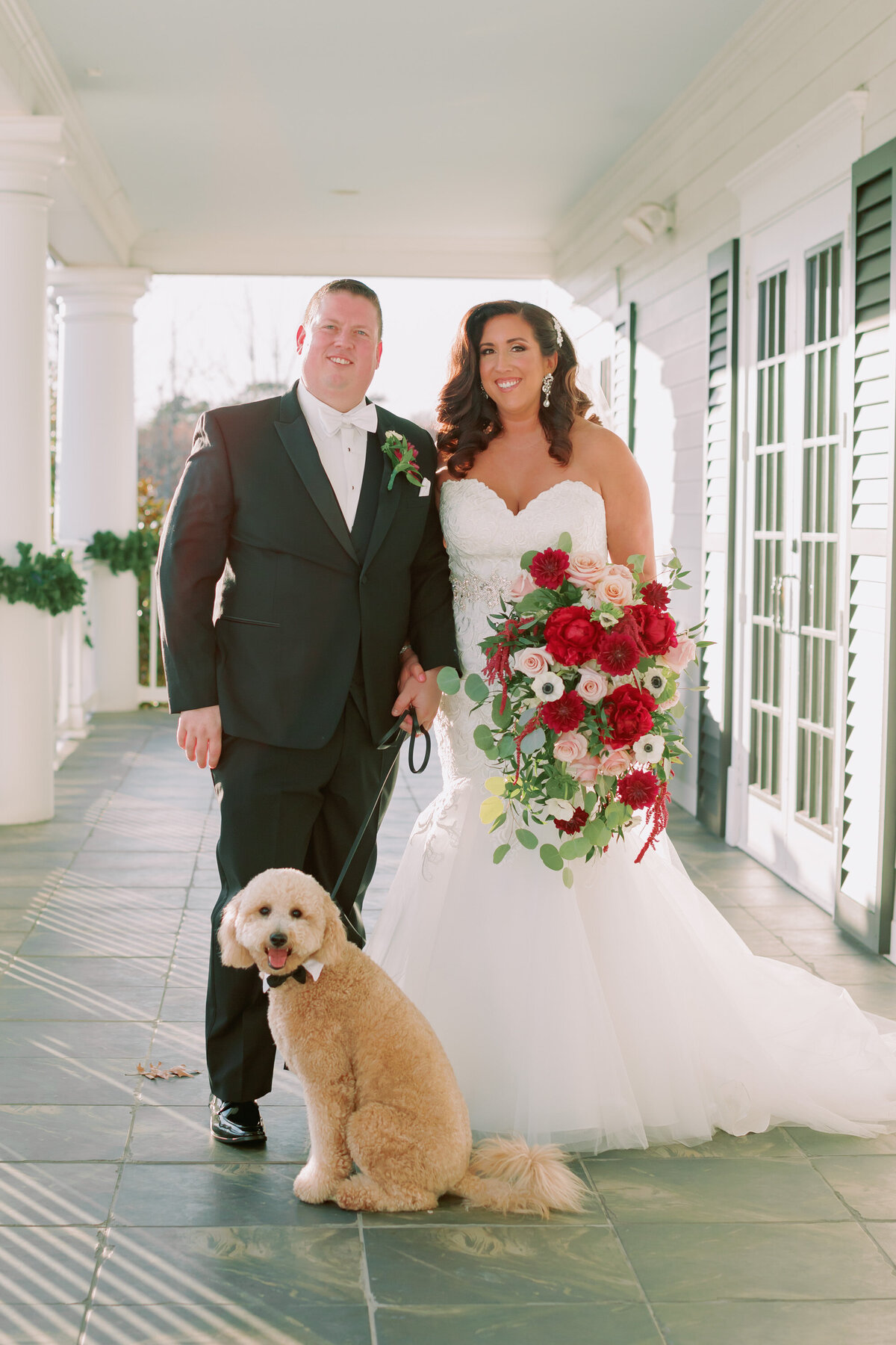 A newlywed couple smiling as their dogs sits at their feet 