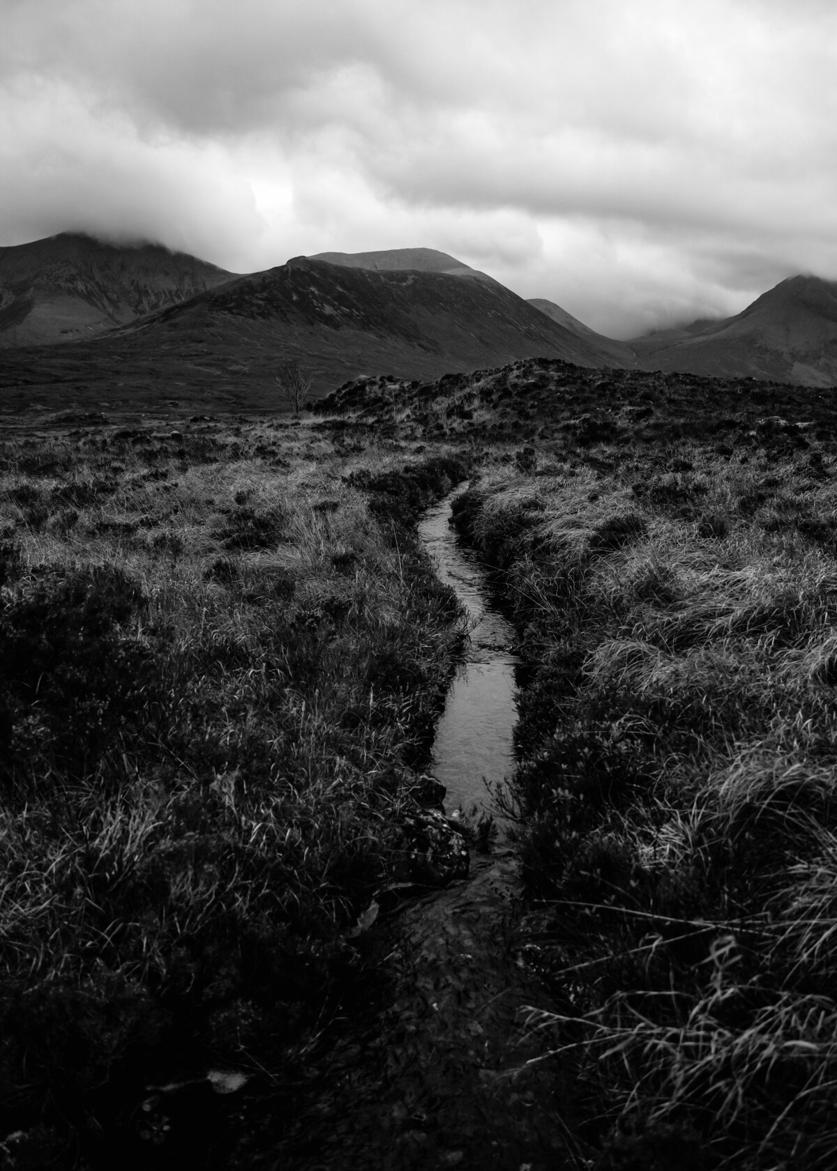11072022_Caroline+Lee_ScotlandUK_AnjaJensenPhotography-420