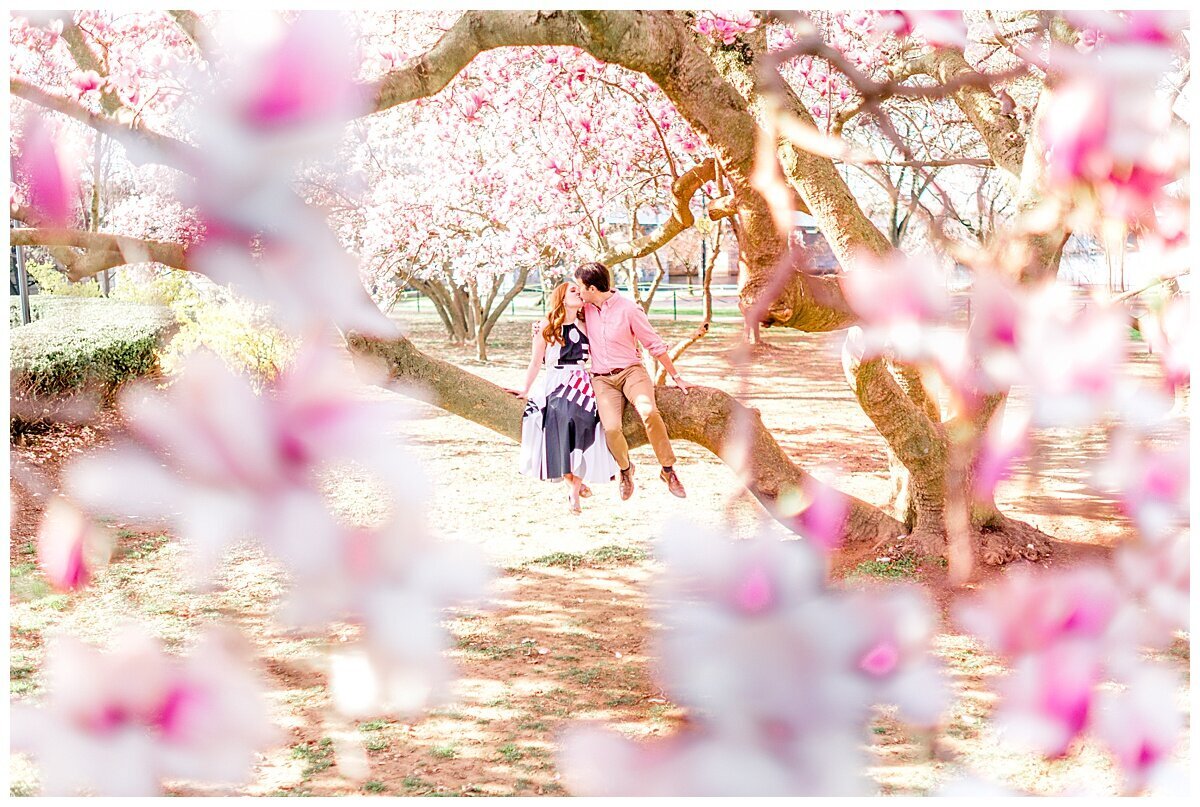 Washington_DC_Cherry_Blossom_Photographer-126