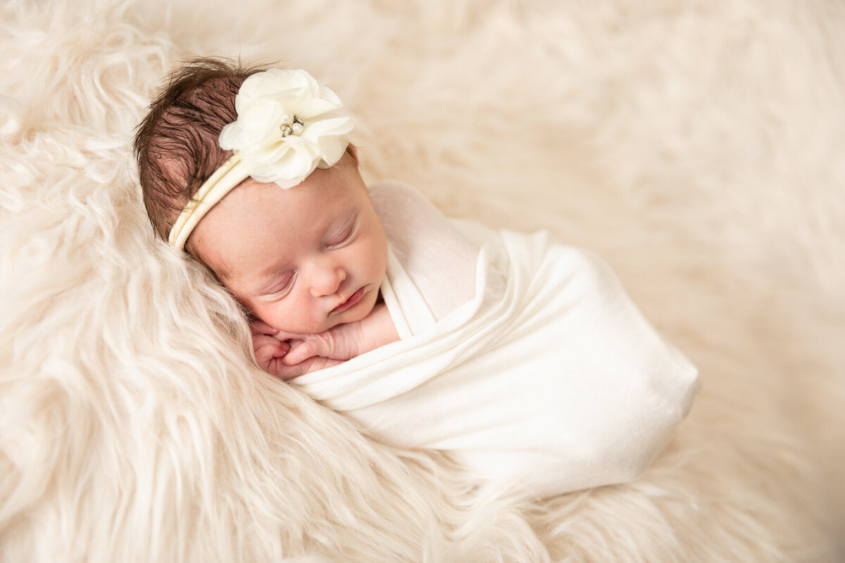 Newborn-Photographer-Illinois-Indiana-05