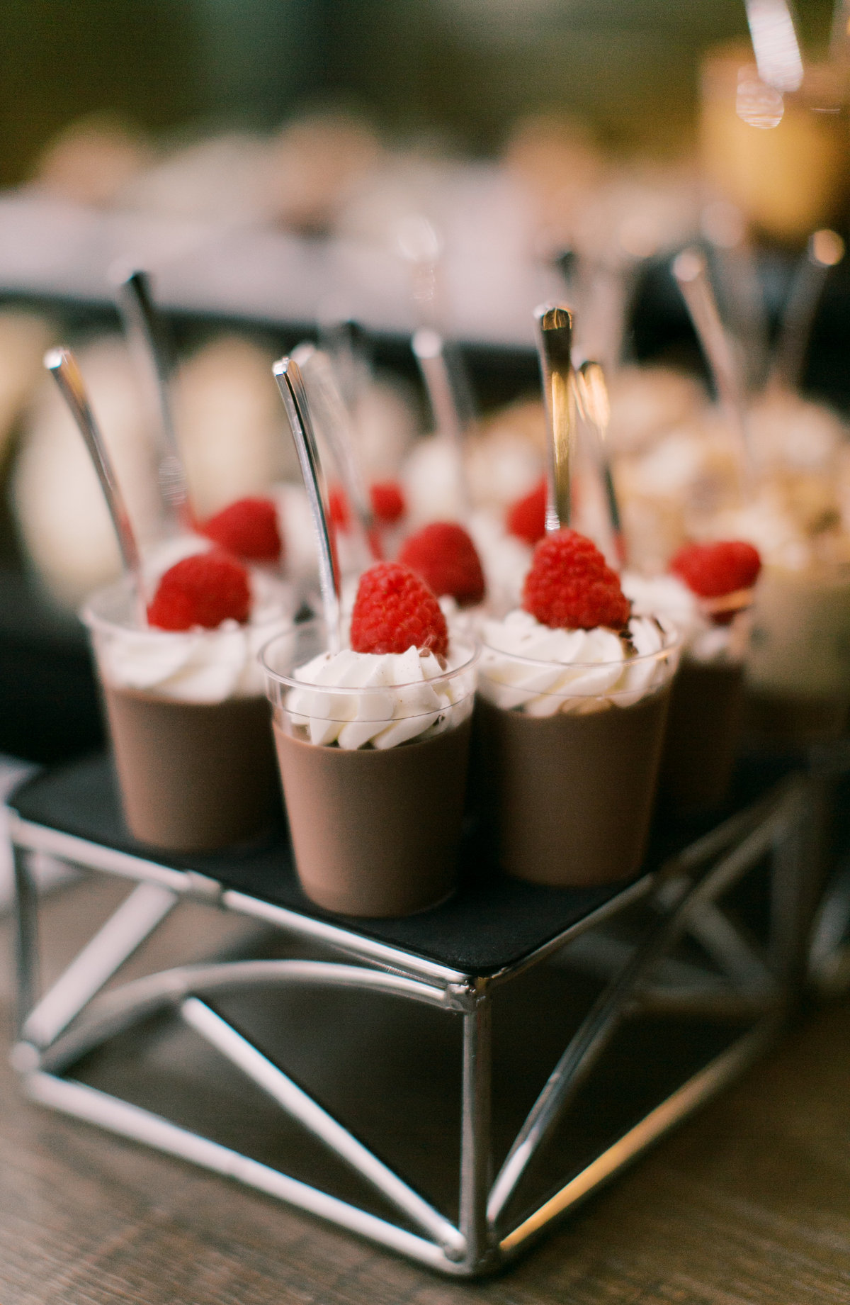 chocolate dessert with whipped cream and raspberry at philadelphia reception