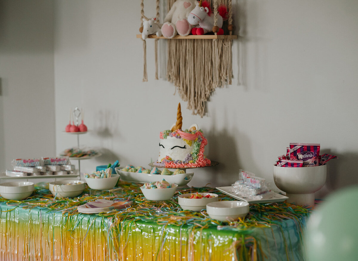 kids-birthday-party-planner-asheville-34