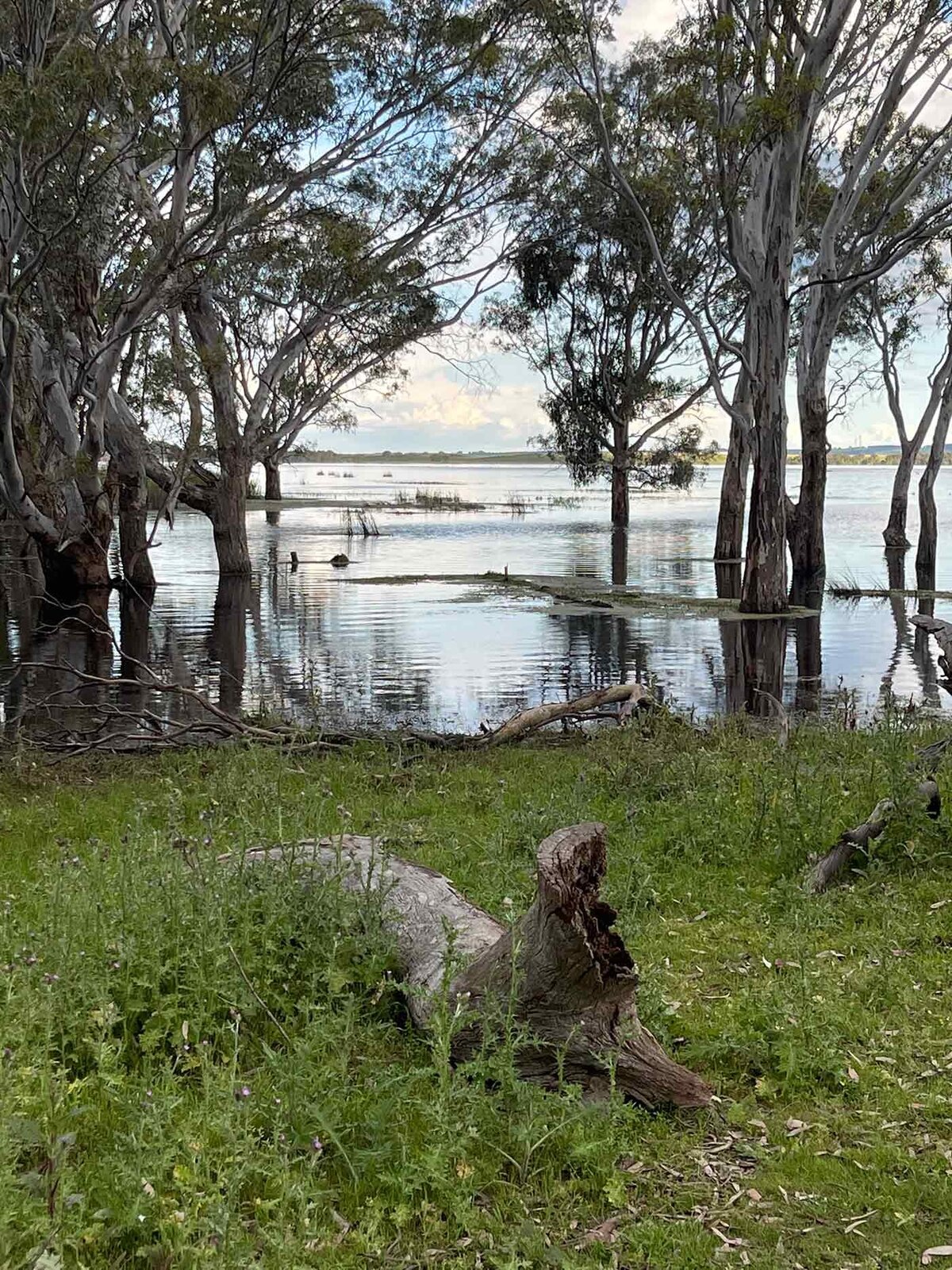 Glenelg Nature Trust