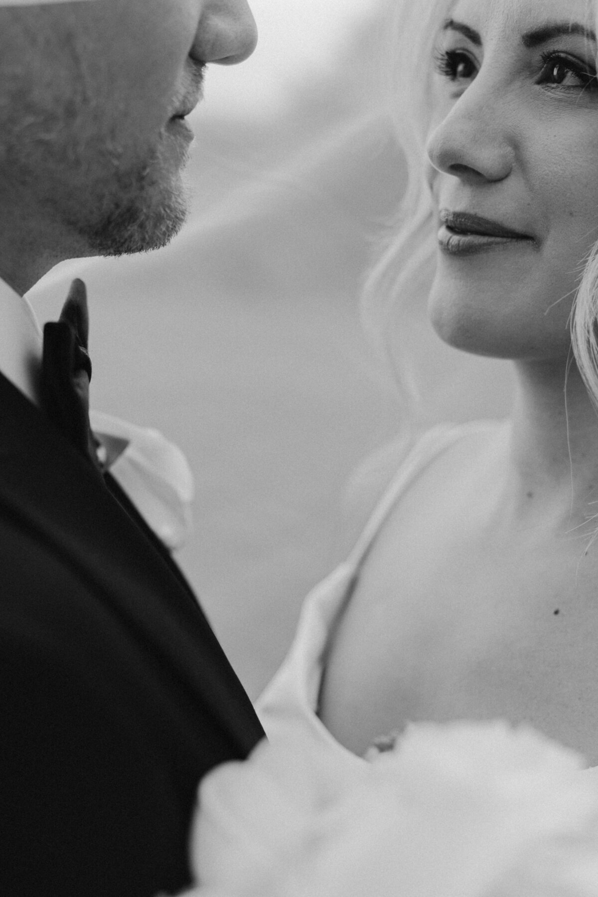 classic bride and groom at biltmore estate in asheville nc