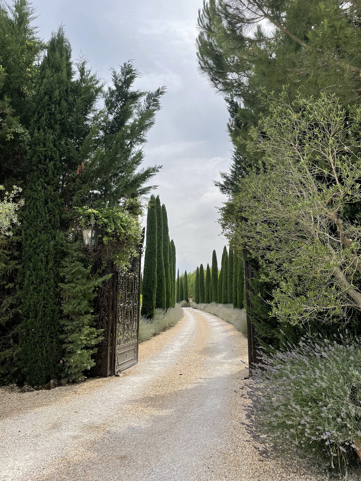 Borgo-Santo-Pietro-Willow-and-Oak-Events-BTS-80