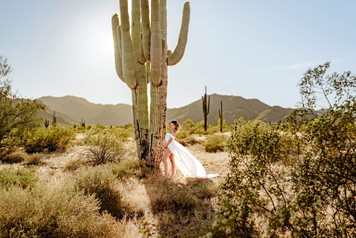 mom-to-be stunning portrait in Arizona desert with saguaros.