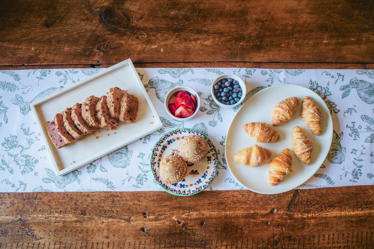 BreeNorthBuisnessShoot_meghanfreilermedia_156