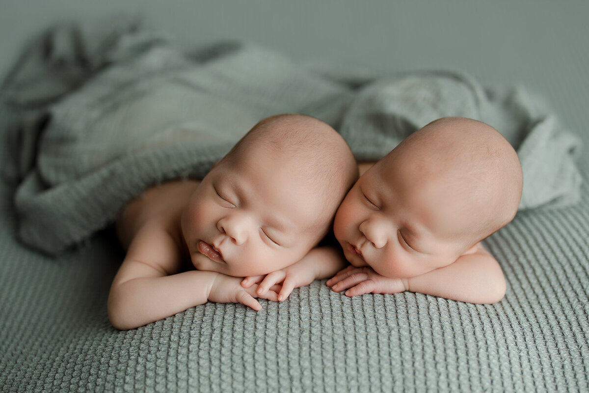 twin newborn in kalispell  photography studio