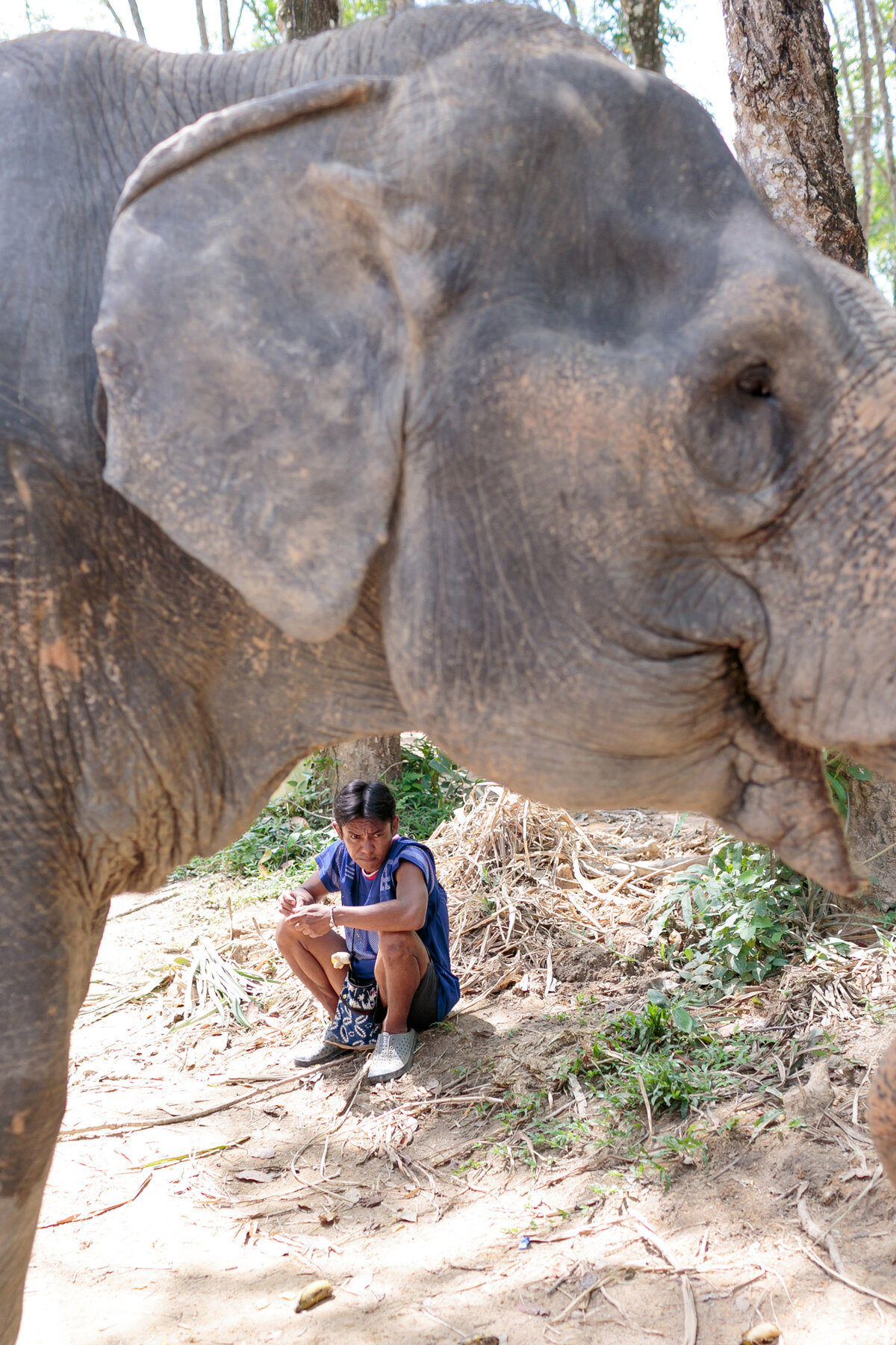 2017July-ChiangMai-Phuket-Thailand-0306