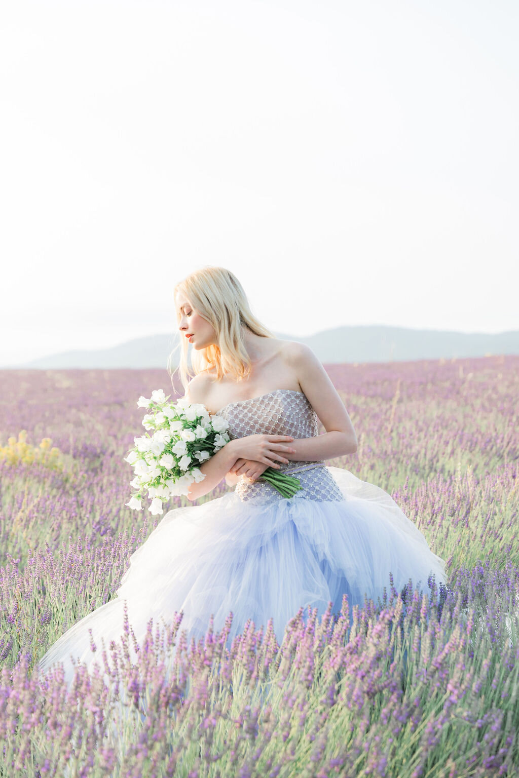 IRP-LavenderFields2024-21edit