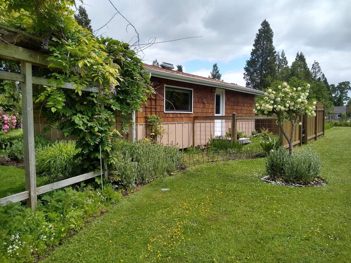View of cottage and yard with green grass and lush foliage.