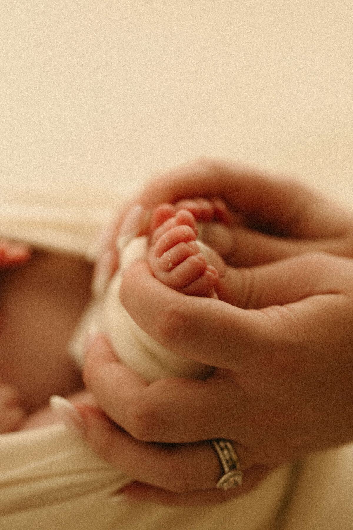 Sleeping newborn posed on cream blanket during Nashville TN studio photo session