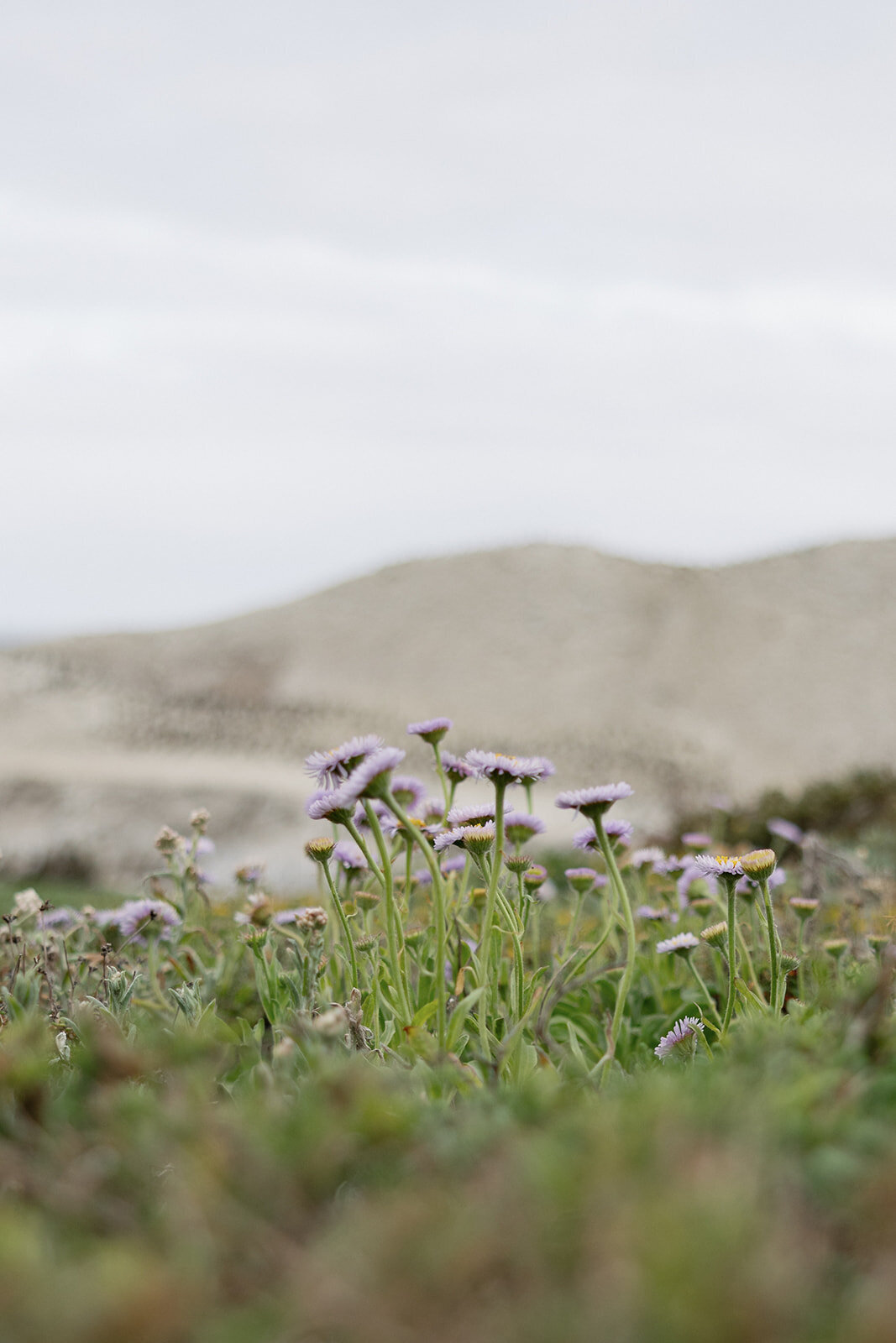 loui_photography-2