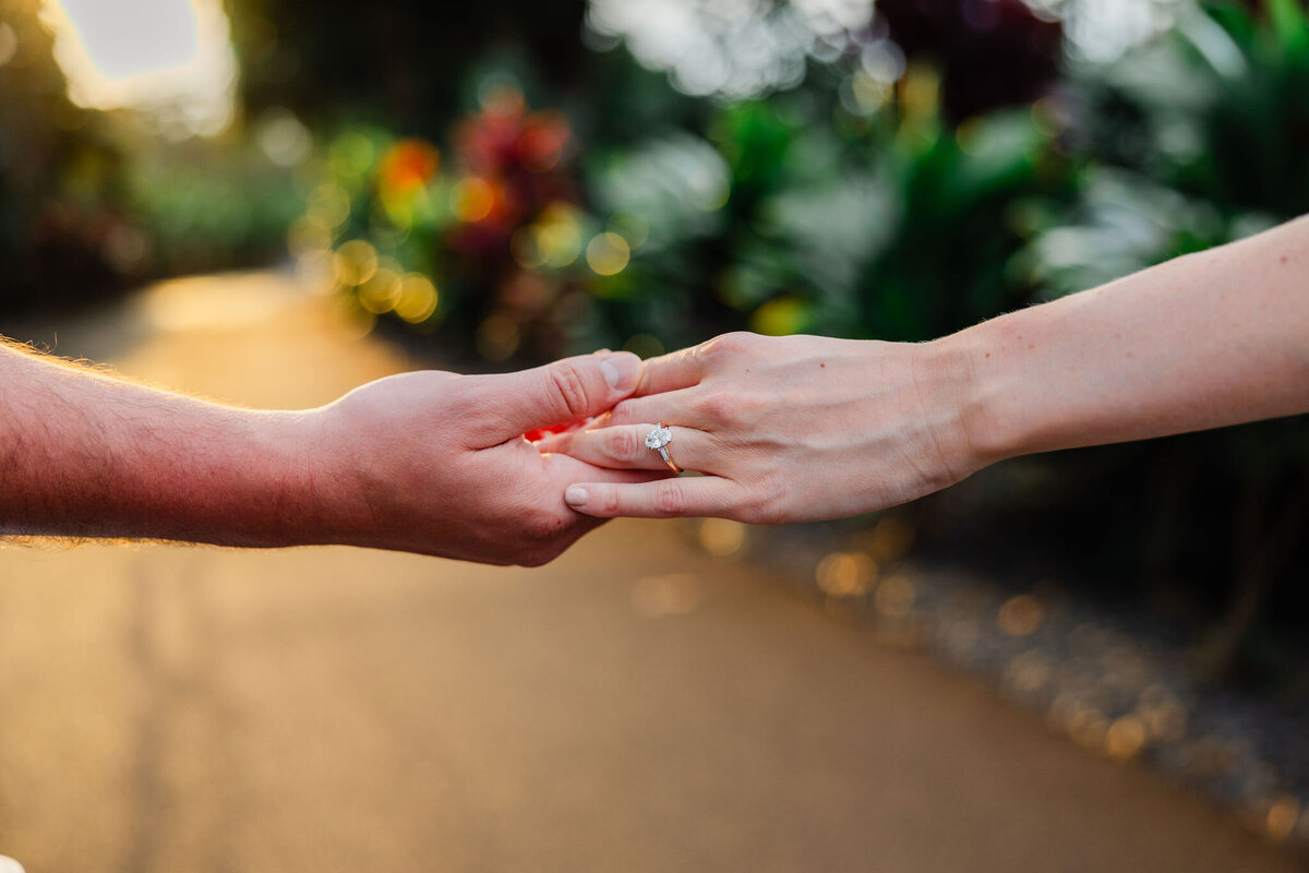 Hawaii-Engagement-Photos-Holualoa-Inn (101)