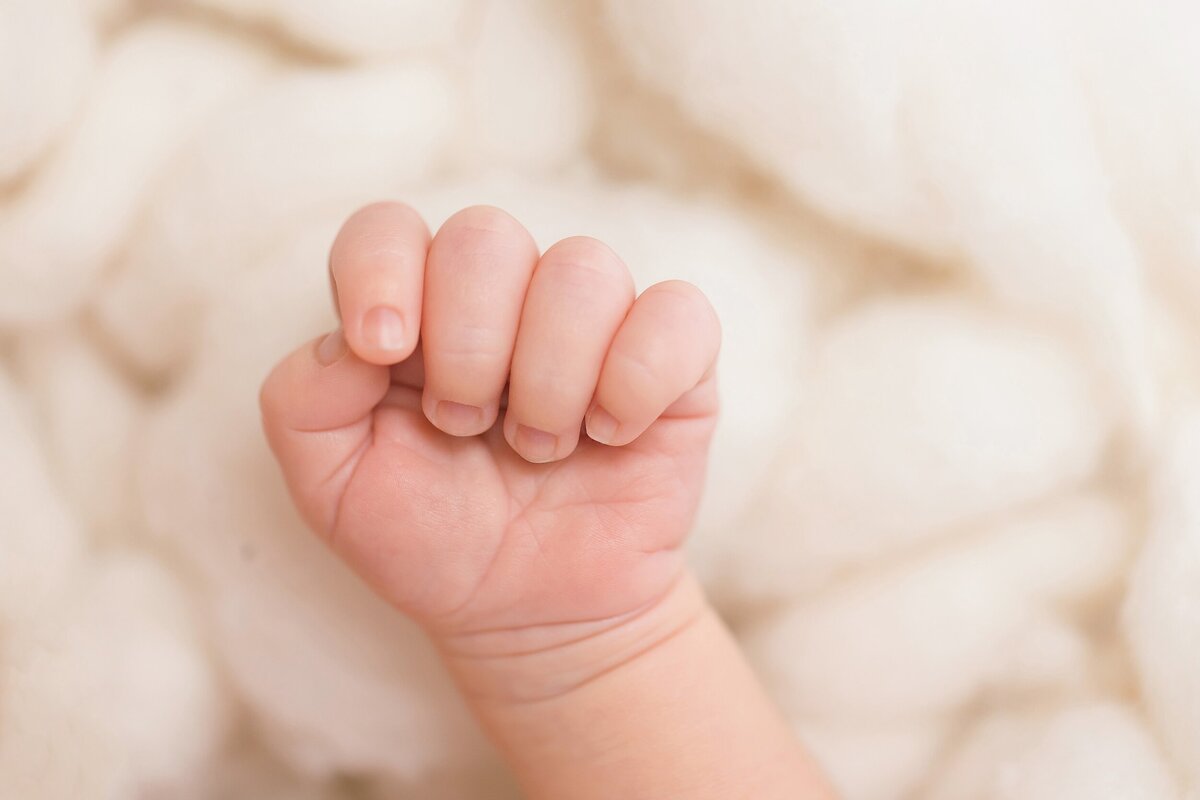 détails photos de bébé à tours 