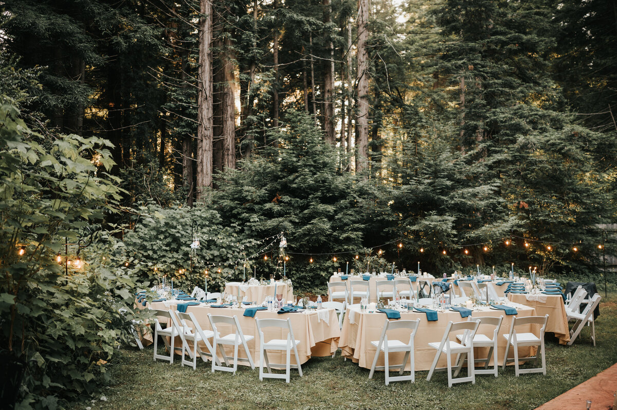Food Service Stetup Design in Humboldt County