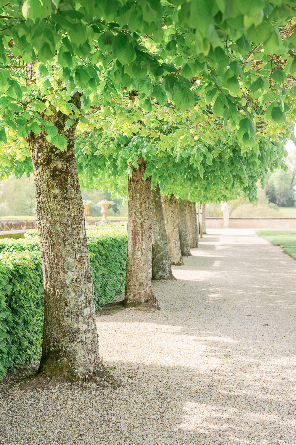 Chateau-Du-Grand-Luce-Wedding-Rehearsal-Green -2 -32