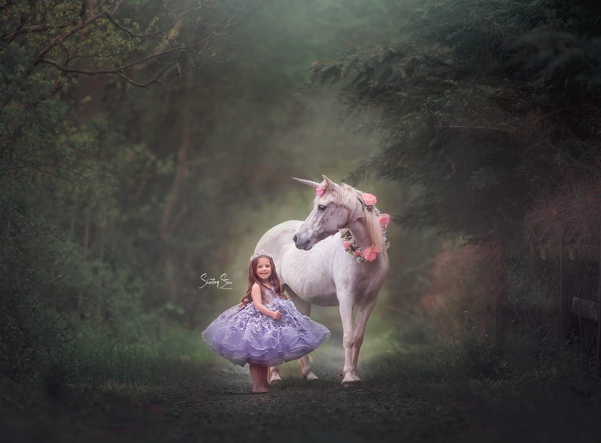 unicorn photography session, philadelphia photographer, jersey shore photographer, whimsical sessions,unicorns