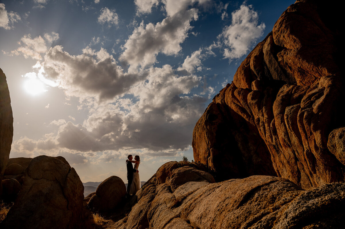 joshua-tree-weddingdayna-brandt41