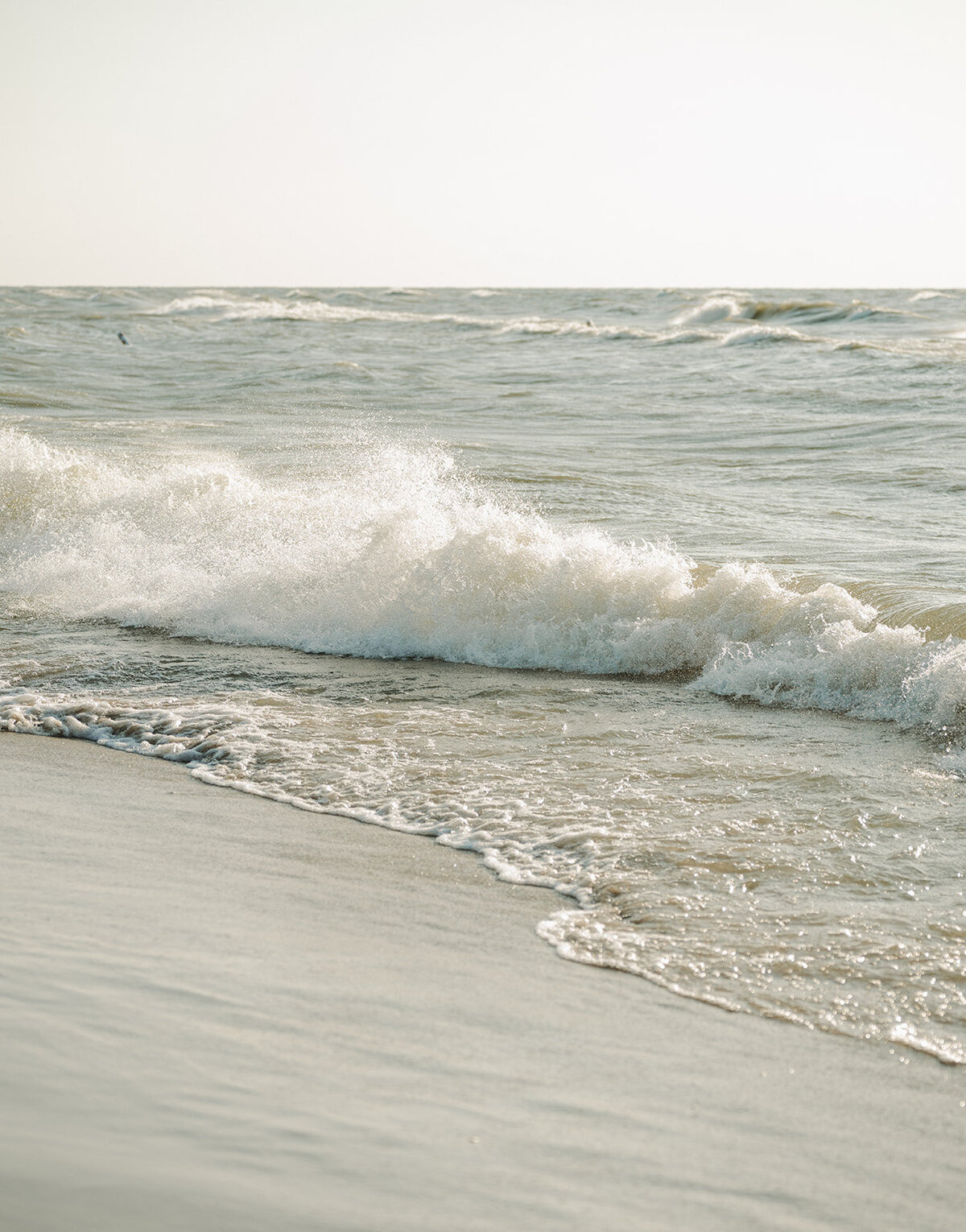 curiouscourtneysphotography-18-2