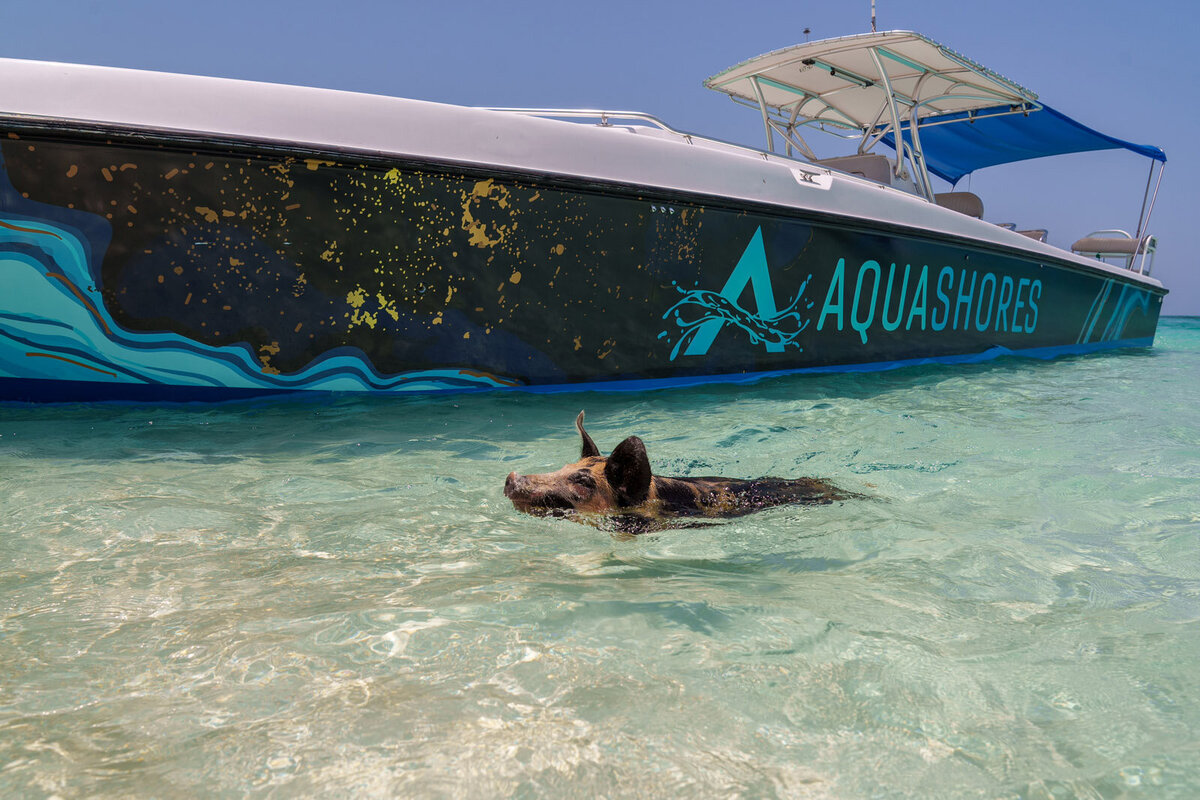 Aqua-Shores-Rose-Island-46