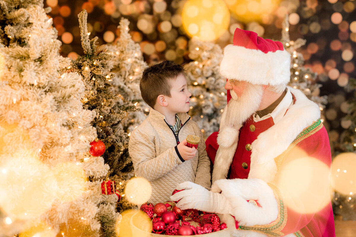 FoxBrazen_SantaExperience2024White_0426a