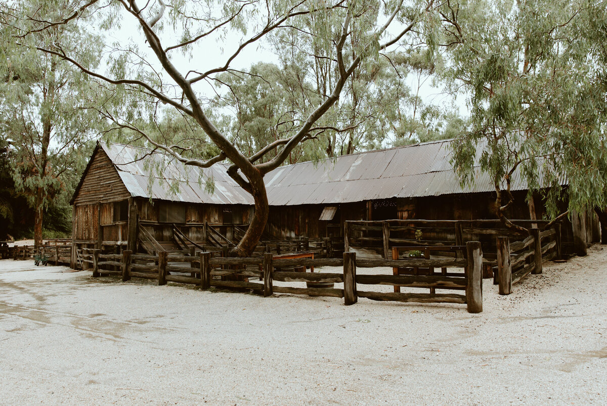 Kayla + Cory Wedding Emu Bottom Homestead Sunbury Daisy + Pine Photography-1699