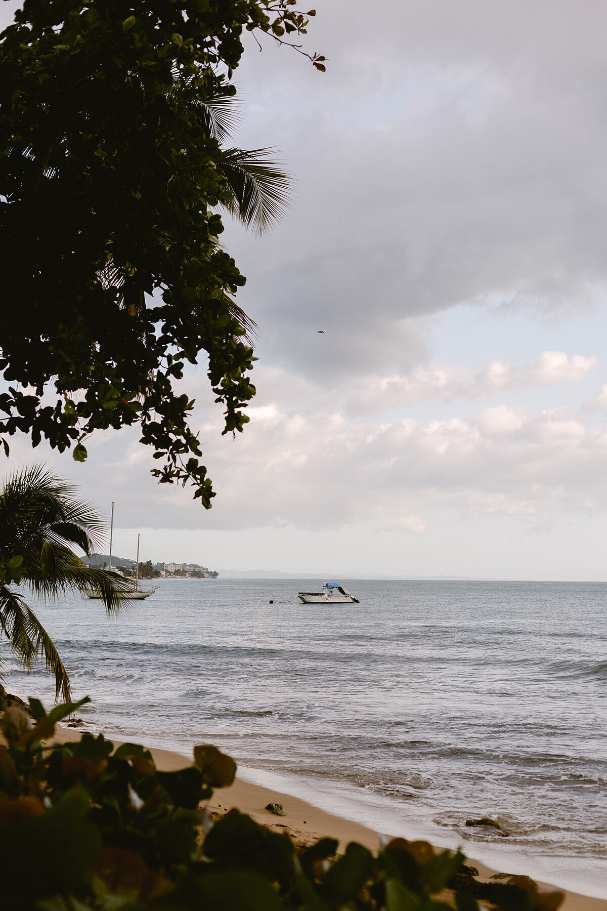 Michelle Norwood Living - Luxury Travel Inspiration - Puerto Rico - MSD-0453